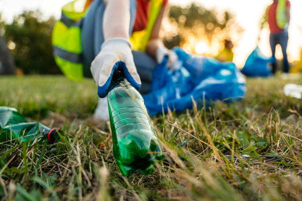 Yard Cleanup Services in Gallipolis, OH